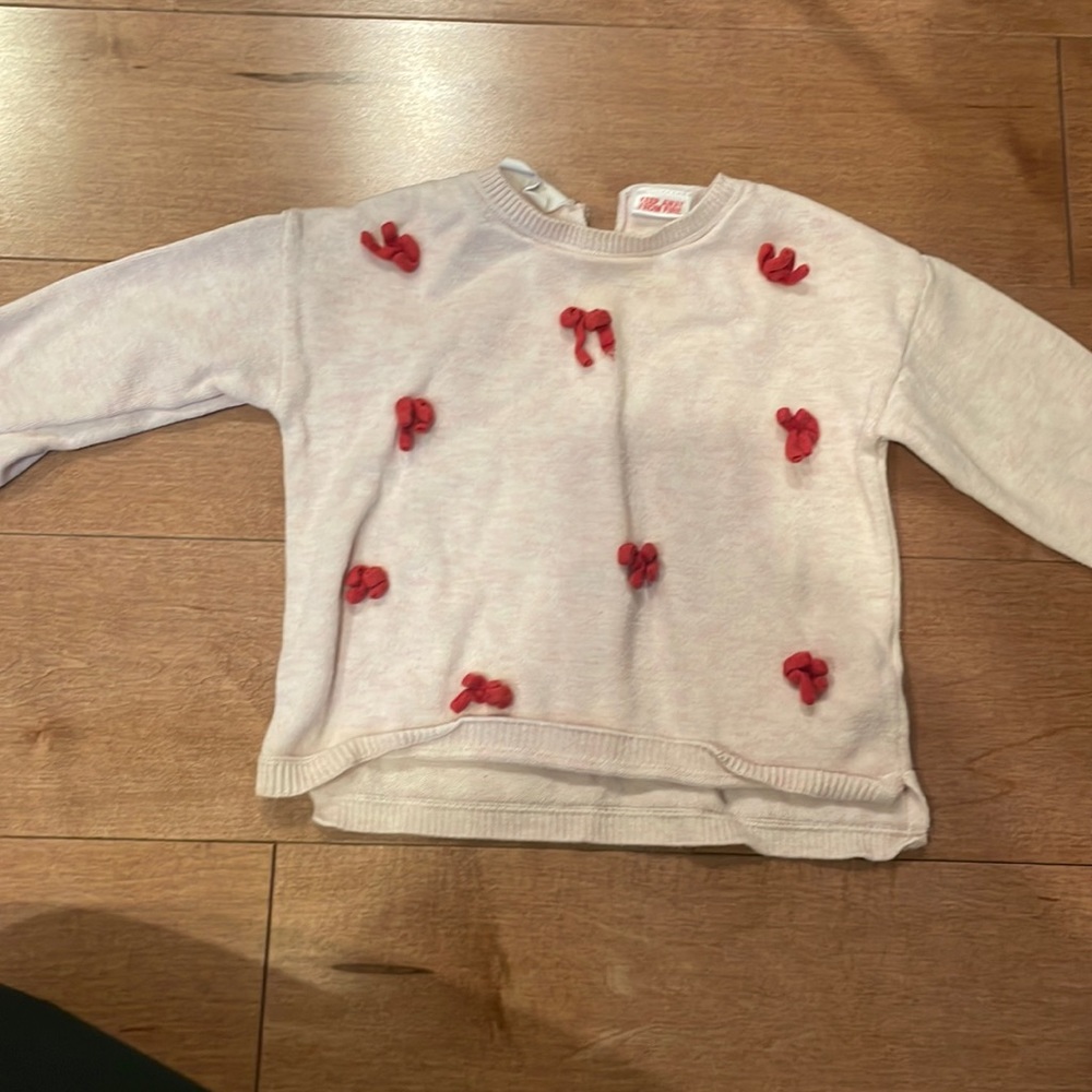 Zara Sweater
